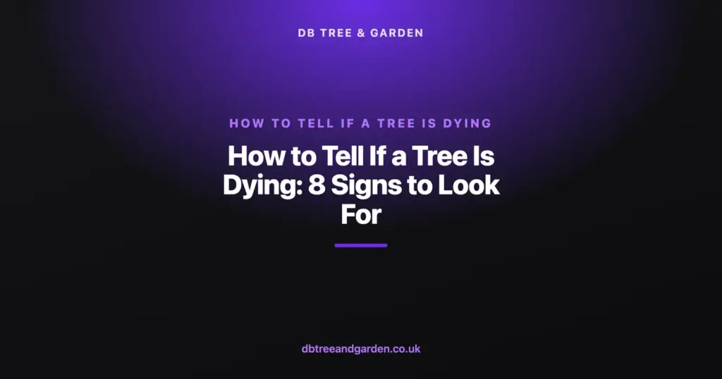how to tell if a tree is dying — How to Tell If a Tree Is Dying: 8 Signs to Look For