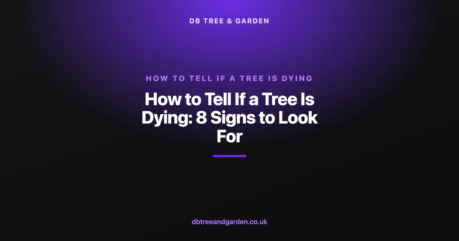 how to tell if a tree is dying — How to Tell If a Tree Is Dying: 8 Signs to Look For